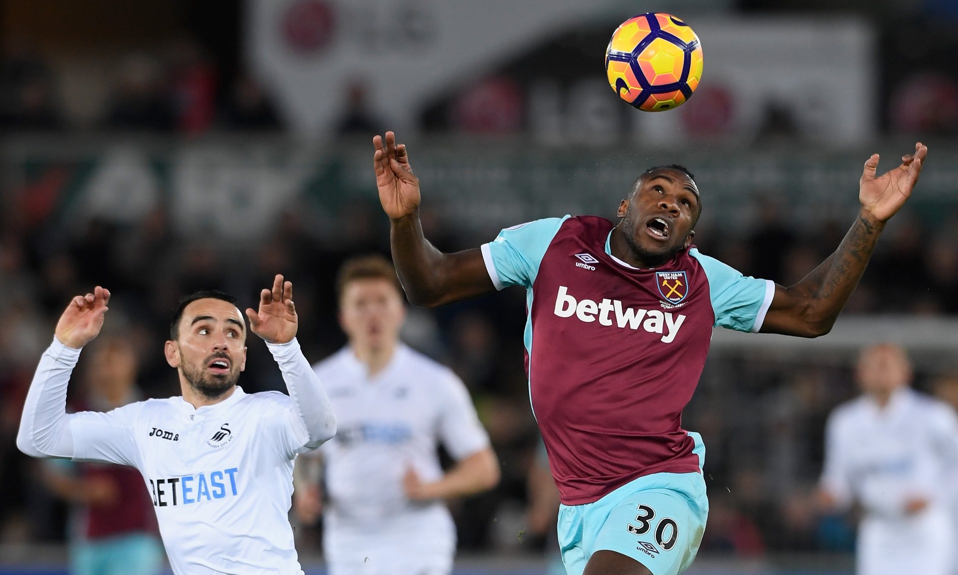 忽視了本土 忽視了本土