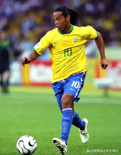 以其丰富的 以其丰富的