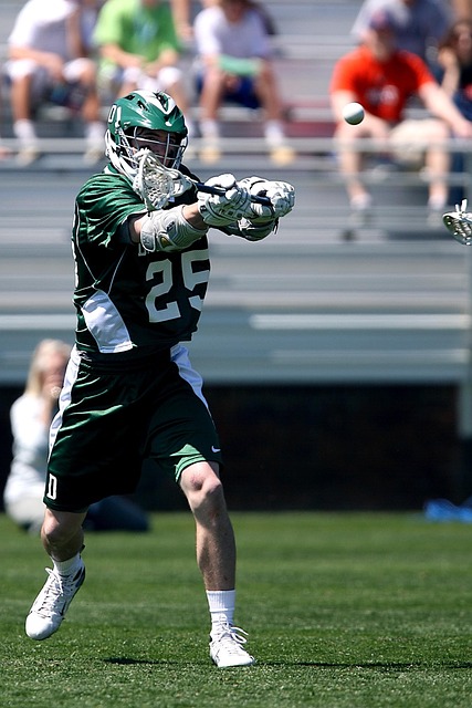 这种争议 这种争议