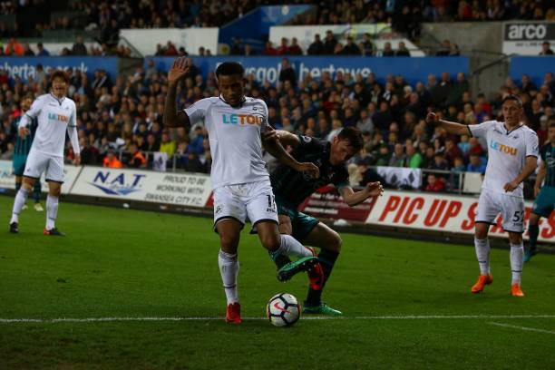 文班亚马的 文班亚马的