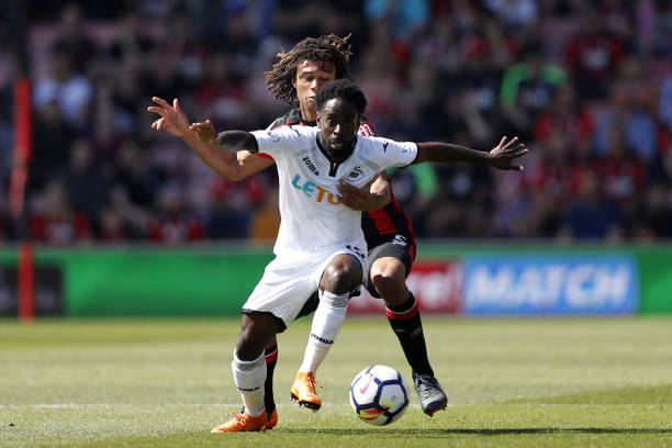 杯对阵澳大 杯对阵澳大